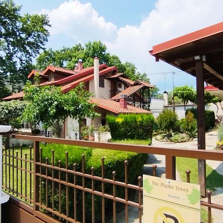 "The Plane Trees" Villa Polikarpi Ngoại thất bức ảnh