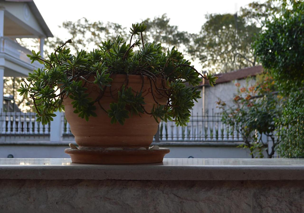 "The Plane Trees" Villa Polikarpi Ngoại thất bức ảnh
