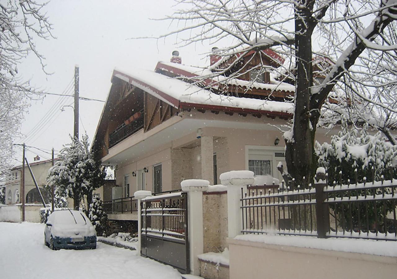 "The Plane Trees" Villa Polikarpi Ngoại thất bức ảnh